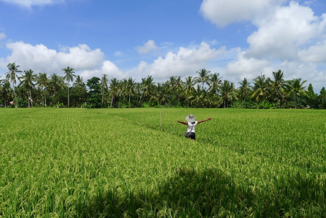 Why I don't think Ubud deserves the hype - Oneika the Traveller
