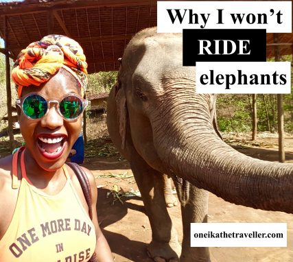 why i wont ride elephants