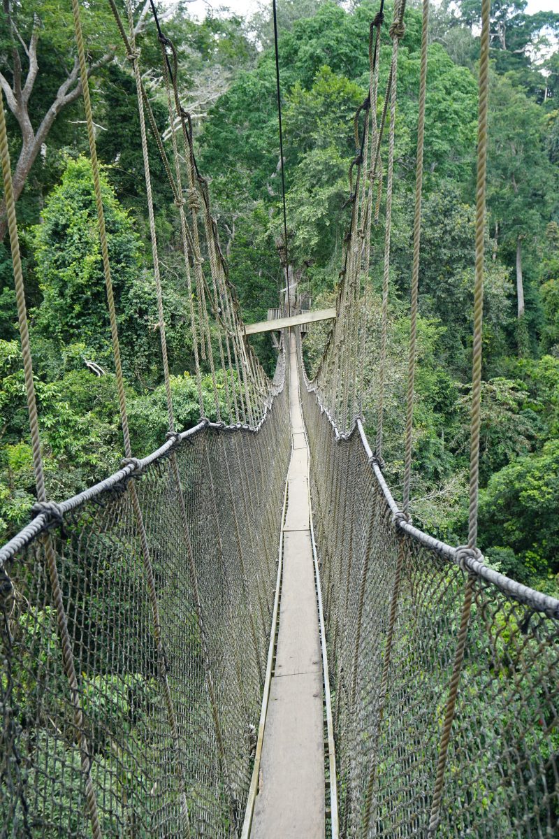 Under the bridge แปล